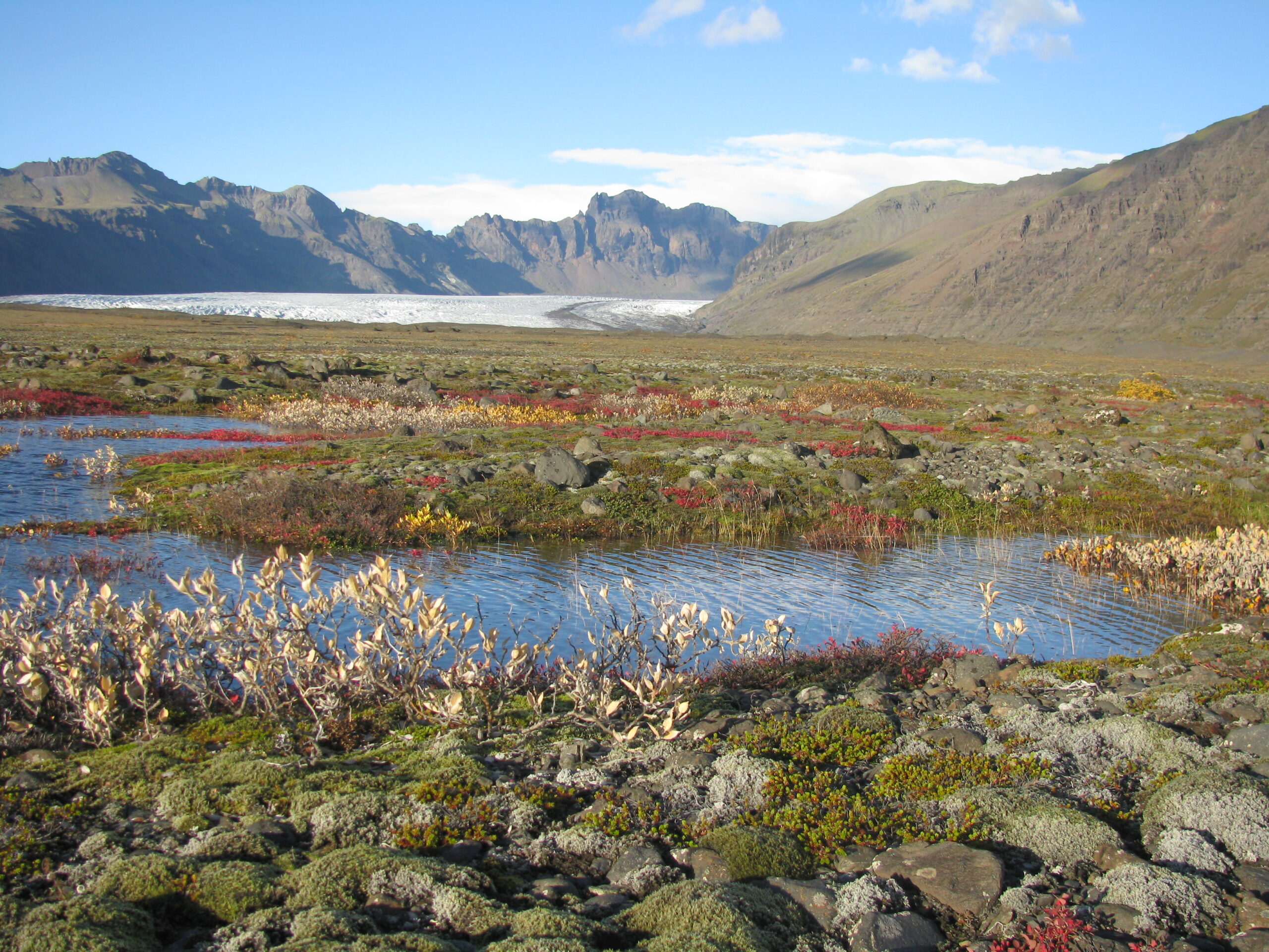 Read more about the article Fréttir af aðalfundi